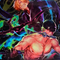 One Piece OP06 Wings of the Captain - visuel officiel de l'extension