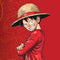 One Piece OP13 Successeur