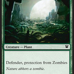 Grave Bramble
