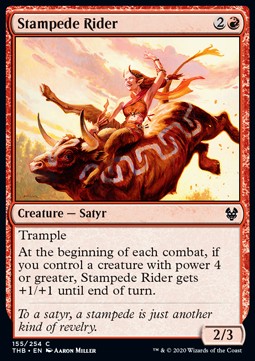 Stampede Rider