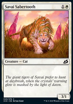 Savai Sabertooth