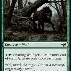 Snarling Wolf